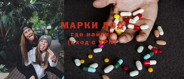 spice Аркадак