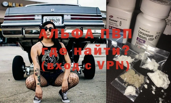 spice Аркадак