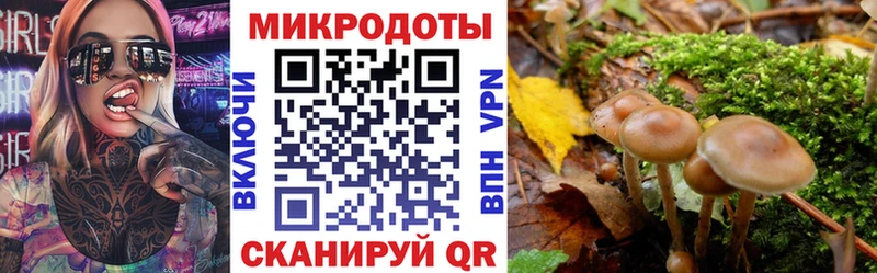 Псилоцибиновые грибы Psilocybe  Слюдянка 